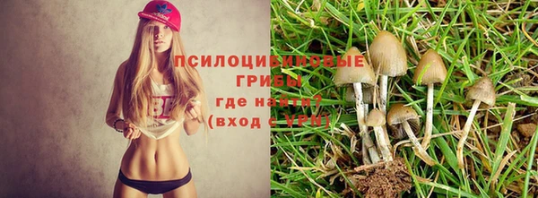 марки nbome Аркадак