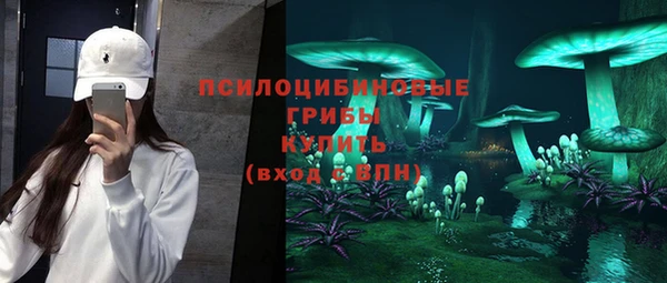 экстази Арсеньев