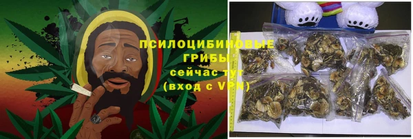 экстази Арсеньев